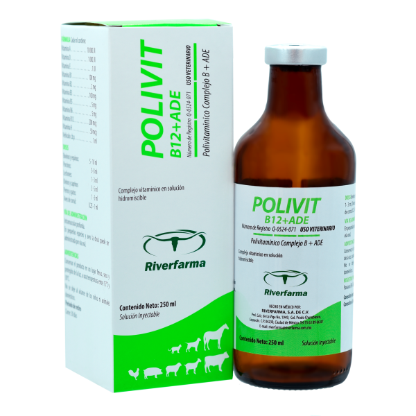Polivit B12+ADE