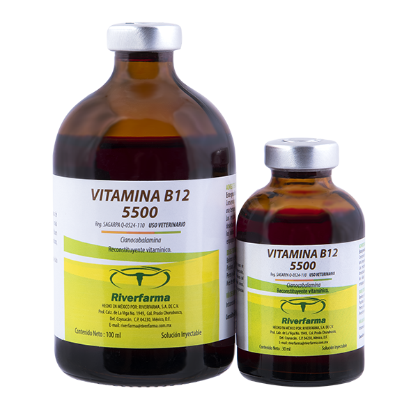 Vitamina B12 5500