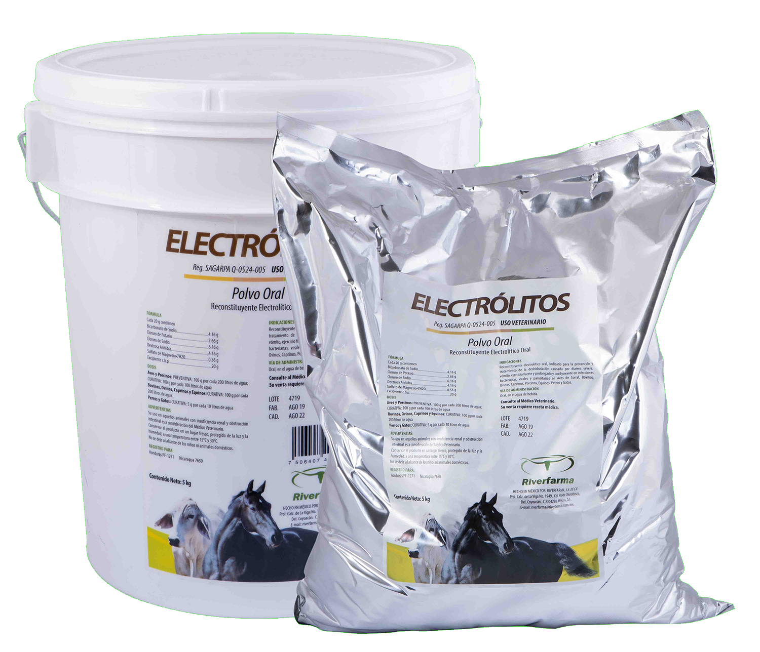 ElectrÃ³litos